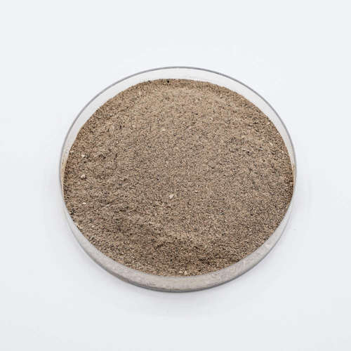 bacillus coagulans