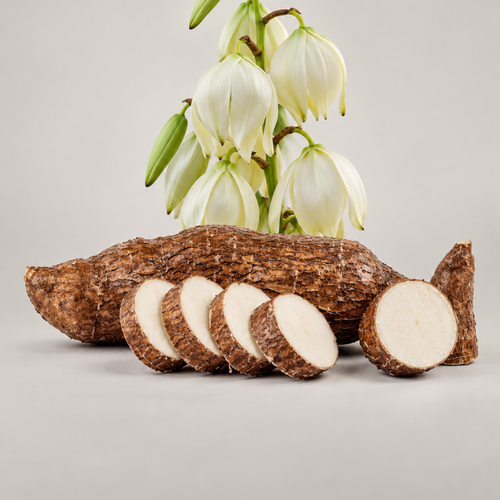 yucca schidigera extract